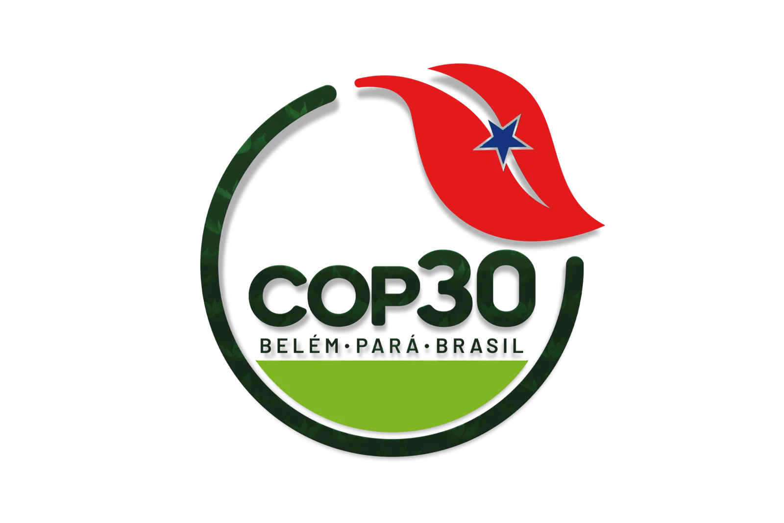 COP 30